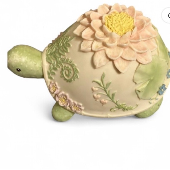 Turtle - Picture 6 of 6